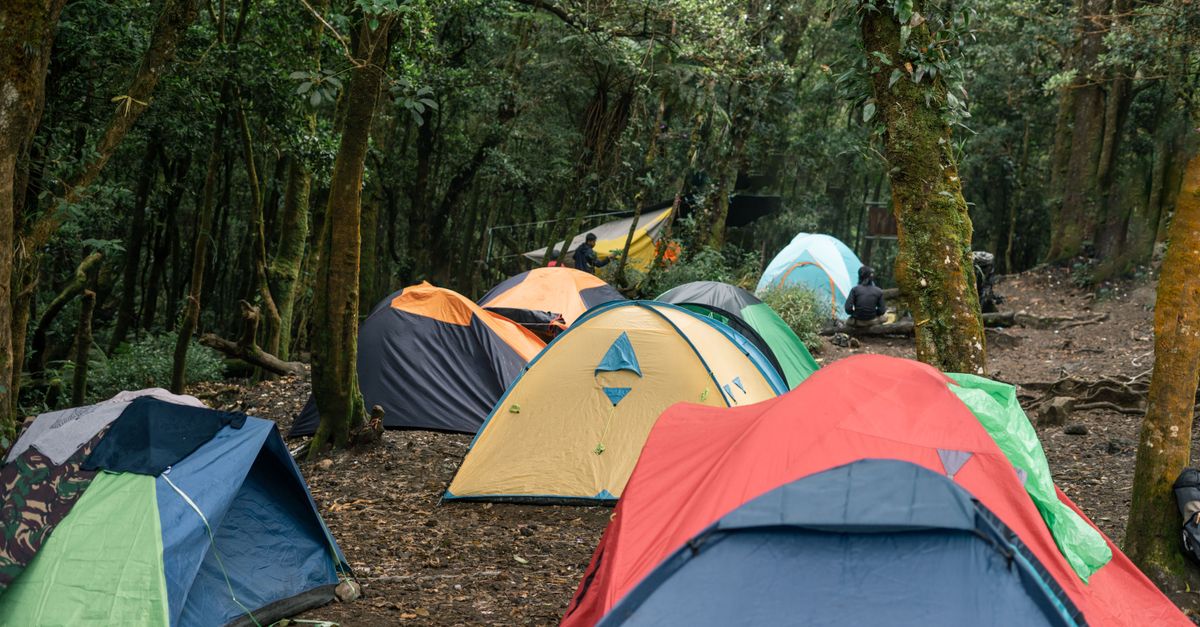 Tent Guild: scenarios