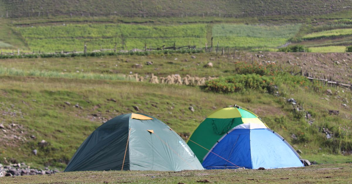Tent Guild: our work
